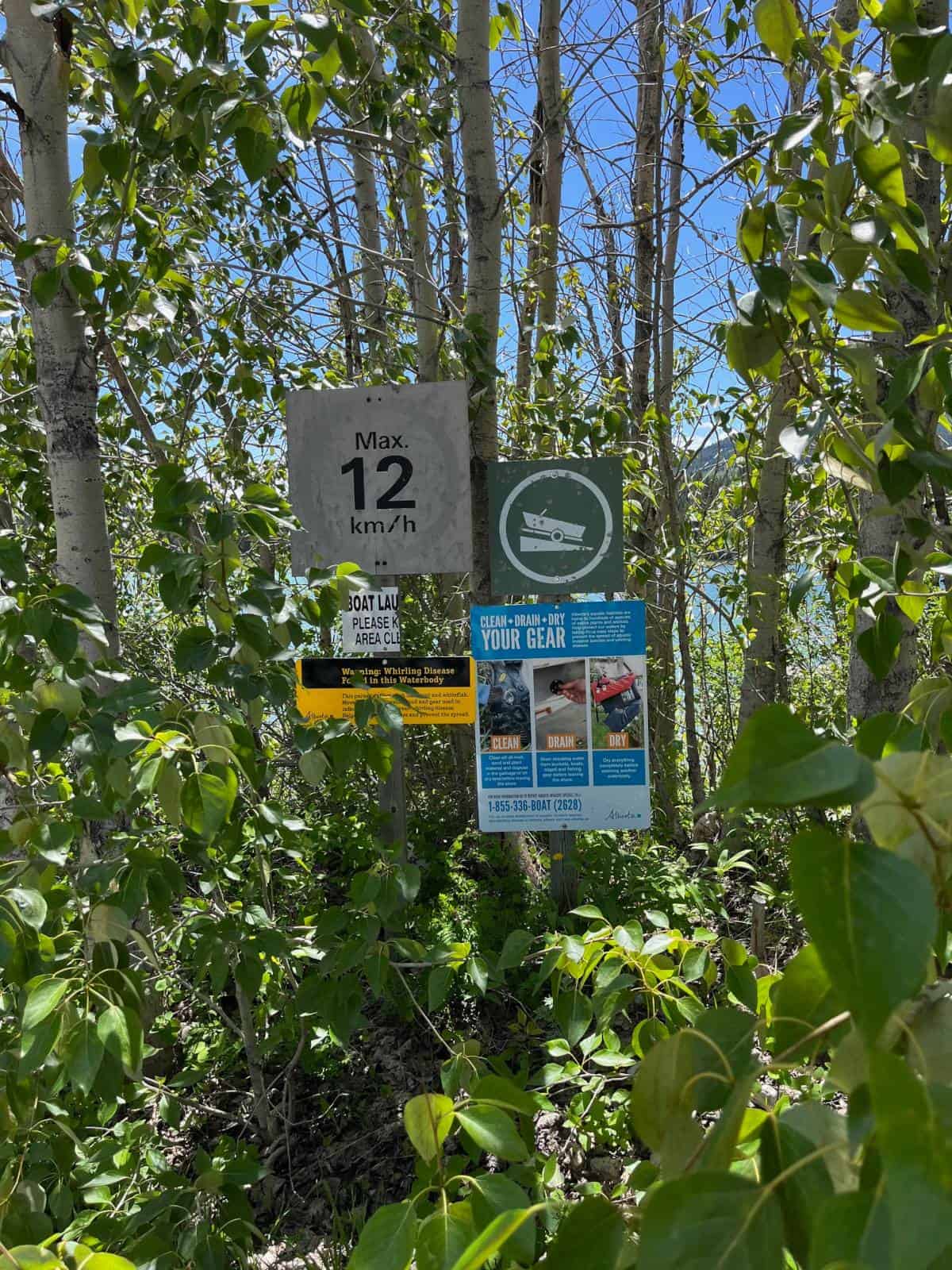 Signs at the edge of a boat launch. There is a speed limit sign, a sign explaining "Clean, Drain, Dry" and a sign cautioning anglers about whirling disease.