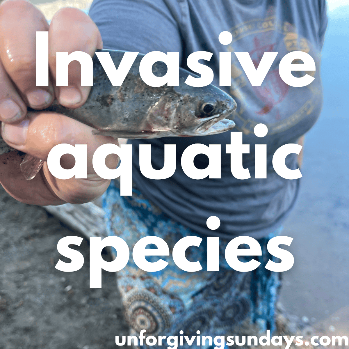 Invasive aquatic species in Alberta (and beyond)