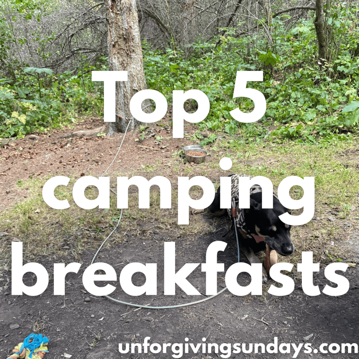 Top 5 camping breakfasts