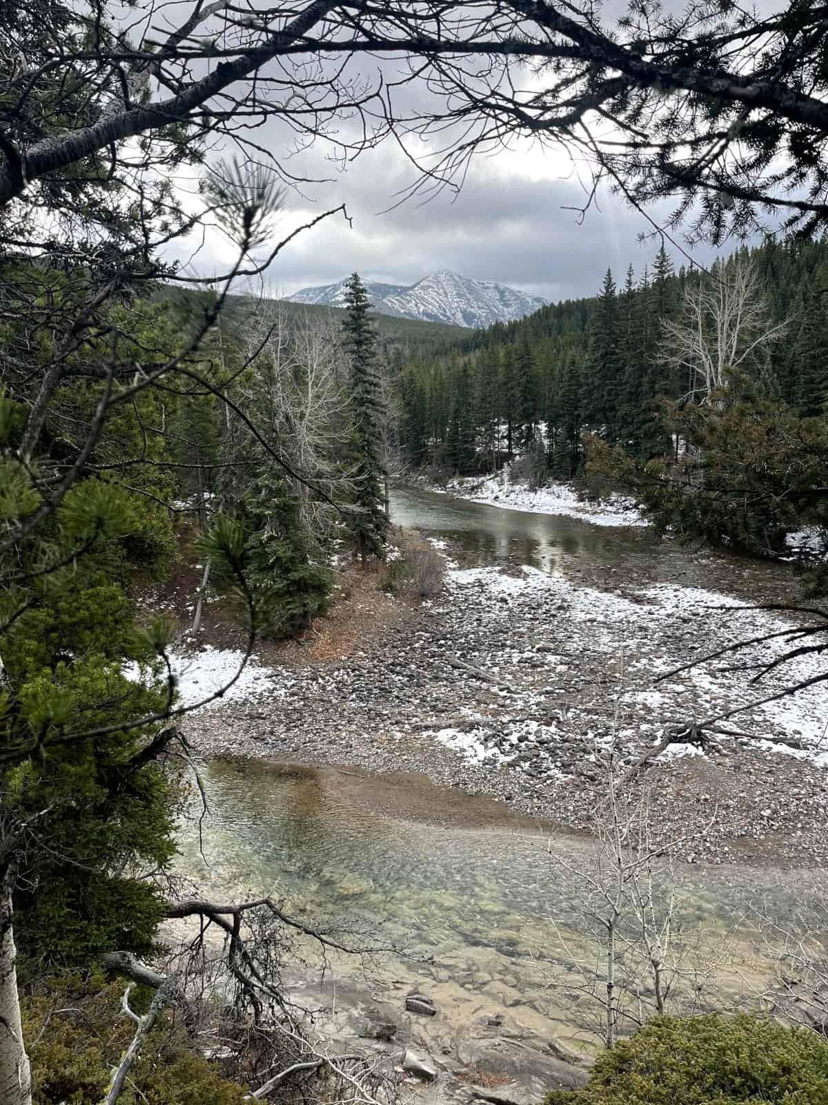 A snowy river surrounded by coniferous trees with a mountain in the background.