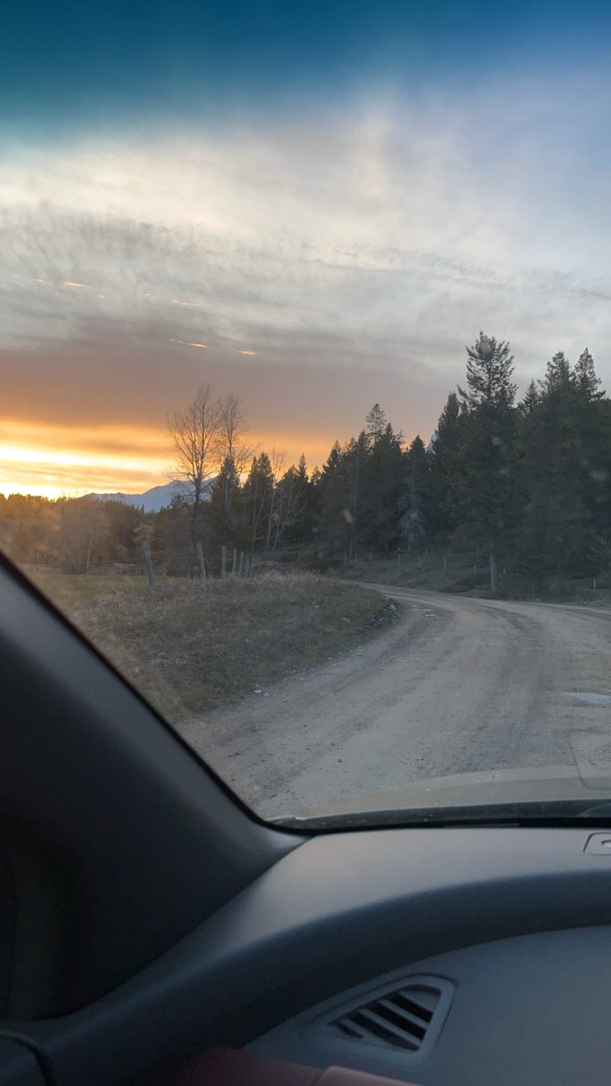 A gravel road in the forest during sunset.