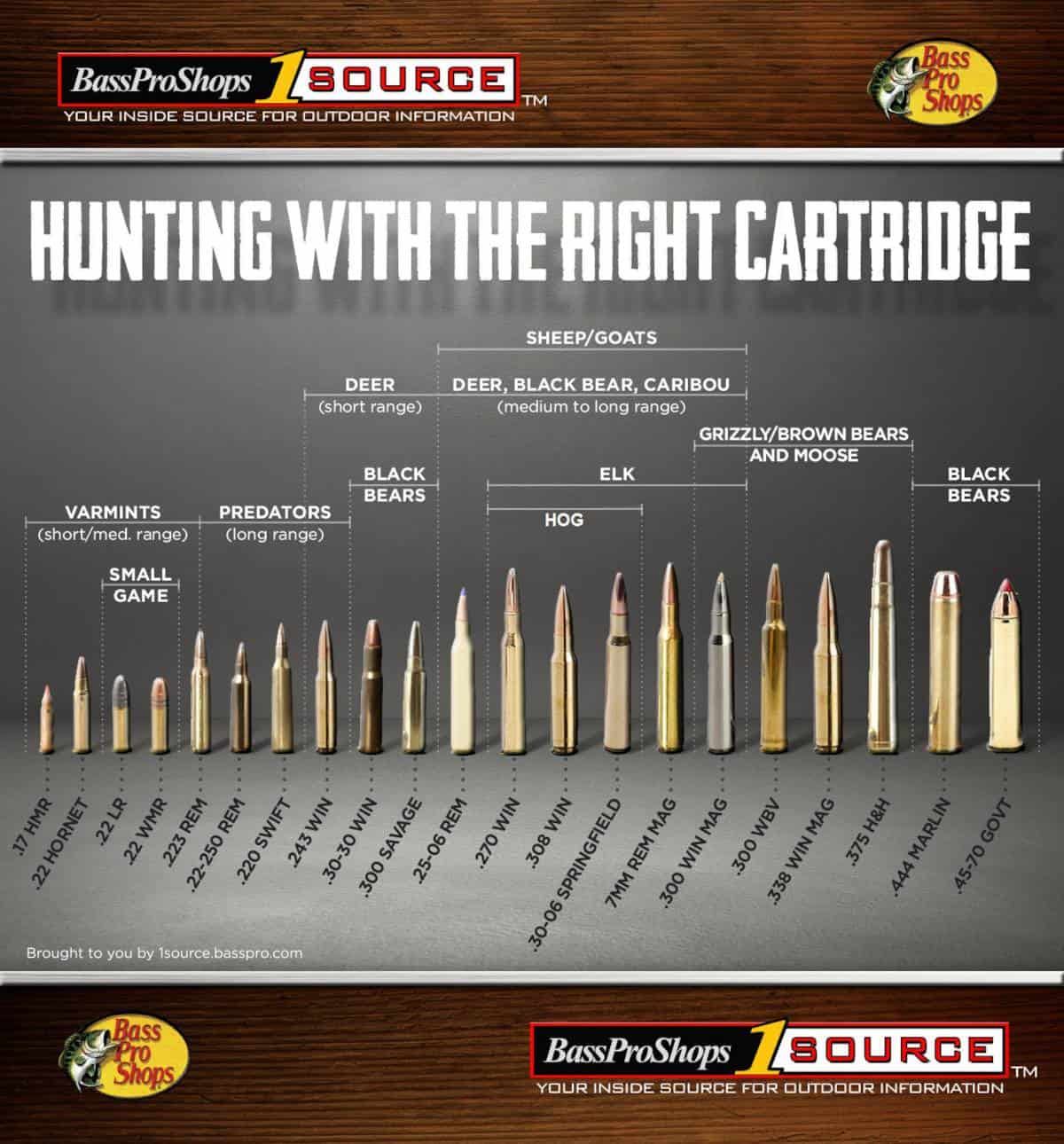 An infographic from Bass Pro Shops. Rifle cartridges are lined up in order from smallest to largest (.17 HMR to .45-70 GOVT). Above, there is information about what animals could be hunted with each type of cartridge.