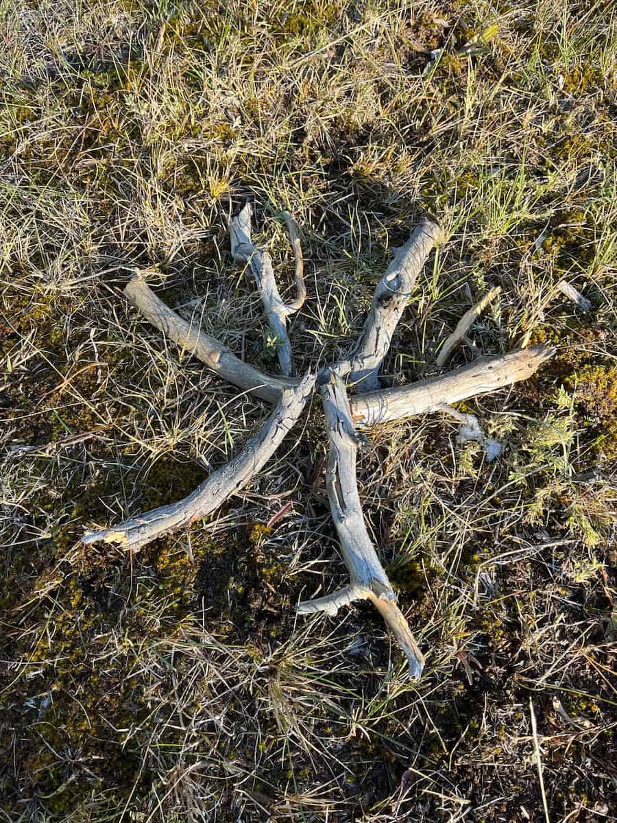 Firewood set up in a star structure