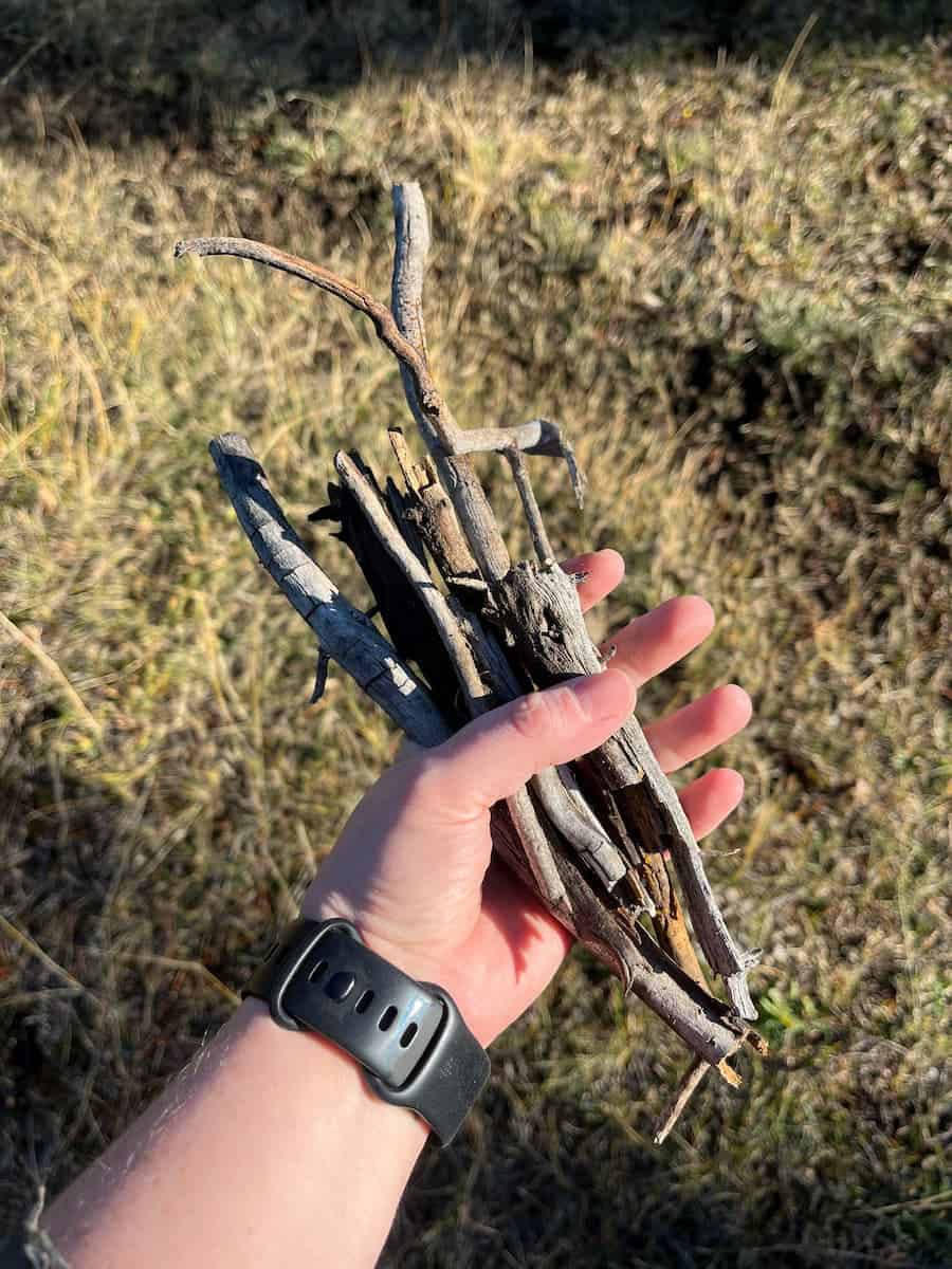 Holding a handful of kindling