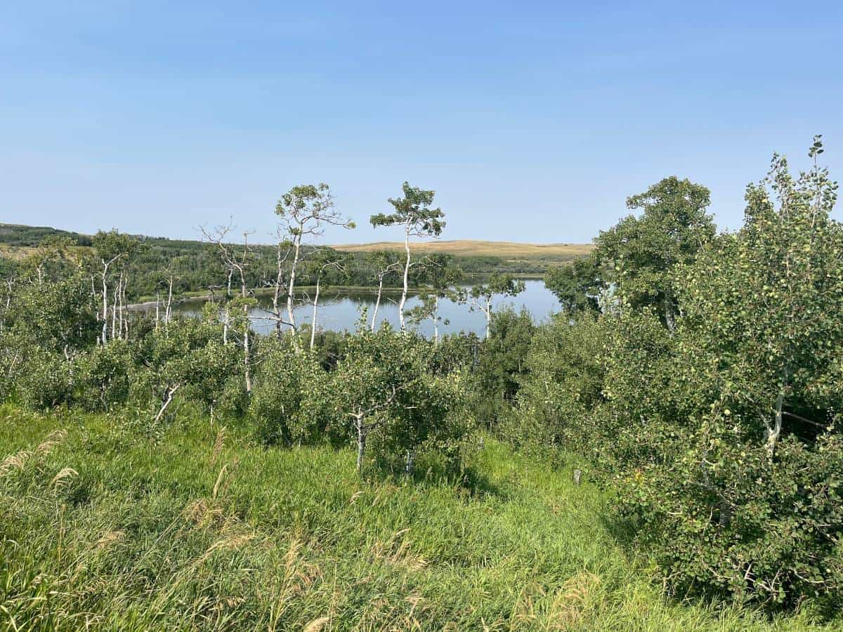 A view from the trees of Outpost Lake, in Police Outpost Provincial Park.