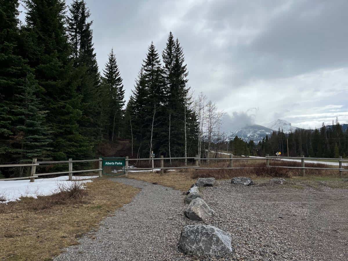 The entrance to a trail system in Castle Provincial Park. The gate says "Alberta Parks".