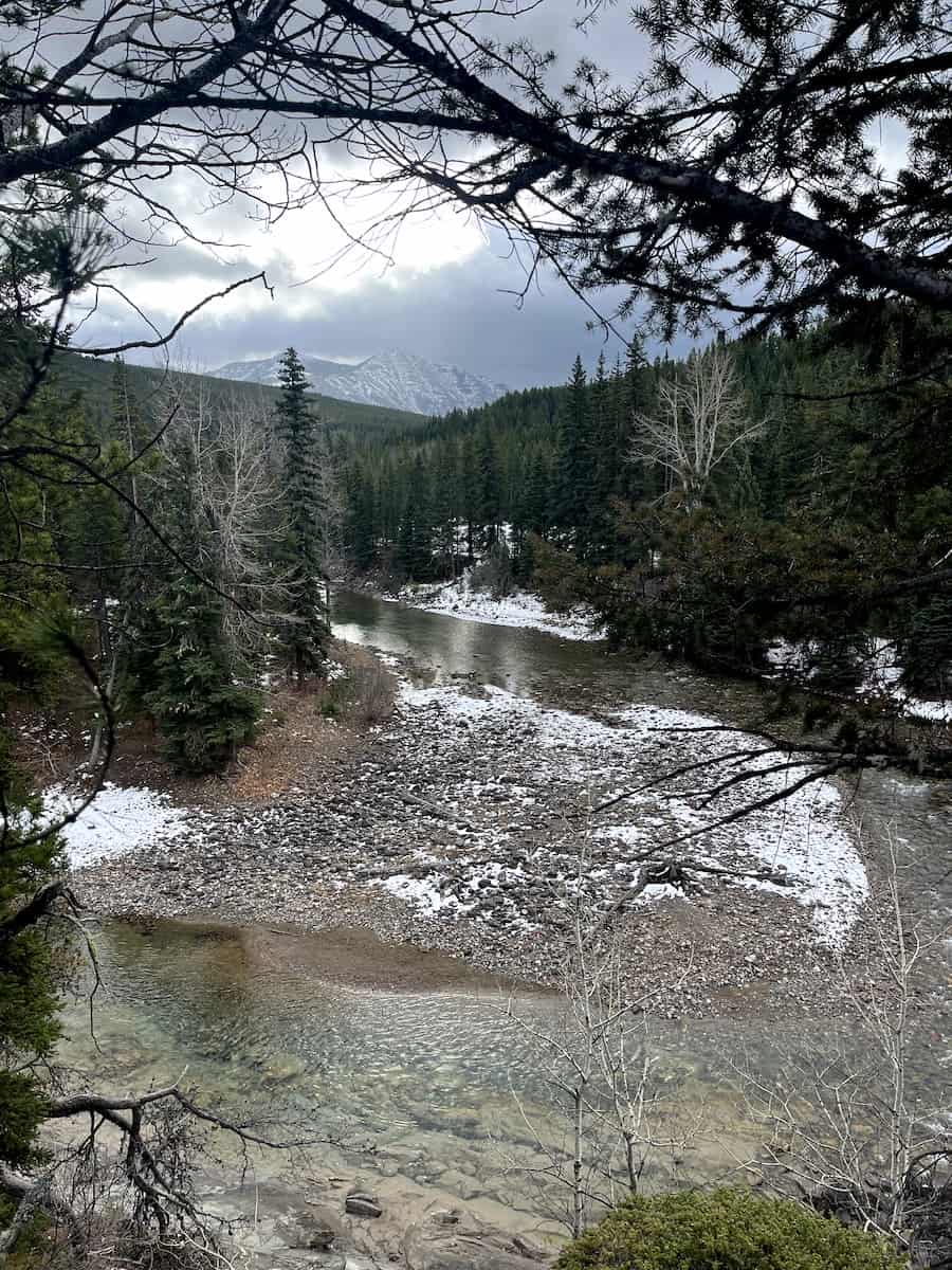 a snowy river in the trees with the mountains in the background