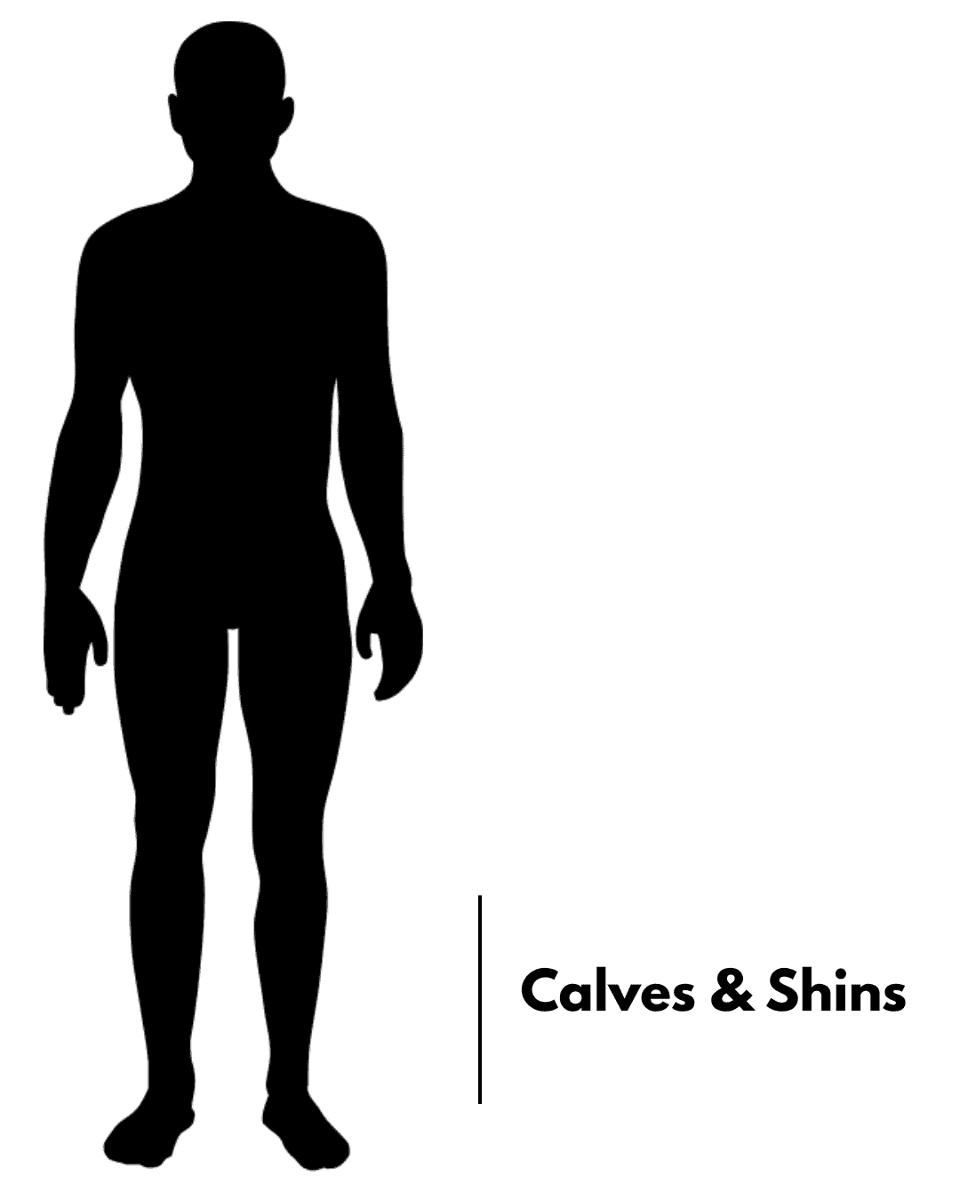 A silhouette of a man showing that the calves and shins are in the lower leg